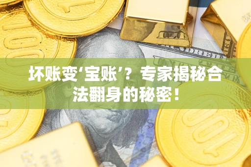 武汉坏账变‘宝账’？专家揭秘合法翻身的秘密！