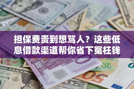 武汉担保费贵到想骂人？这些低息借款渠道帮你省下冤枉钱