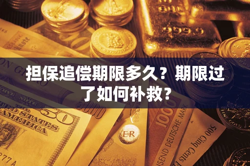 武汉担保追偿期限多久？期限过了如何补救？
