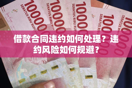 武汉借款合同违约如何处理？违约风险如何规避？