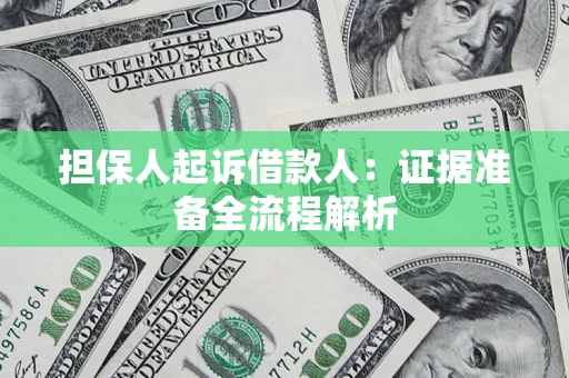 武汉担保人起诉借款人：证据准备全流程解析