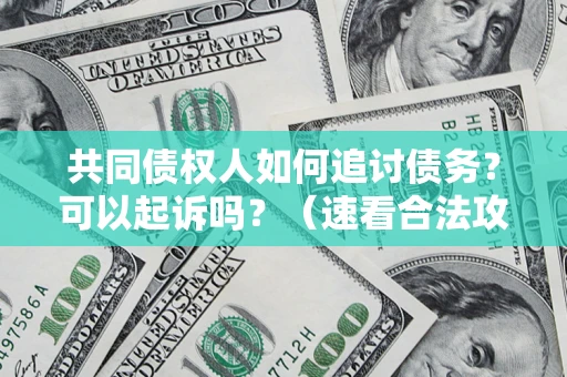 武汉共同债权人如何追讨债务？可以起诉吗？（速看合法攻略）