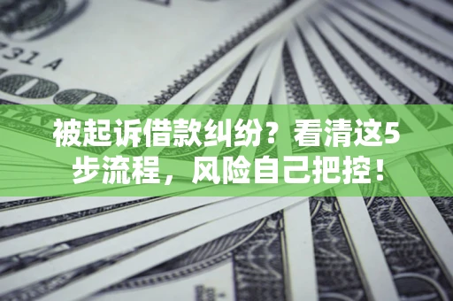 武汉被起诉借款纠纷？看清这5步流程，风险自己把控！