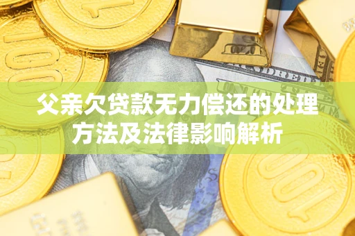 武汉父亲欠贷款无力偿还的处理方法及法律影响解析